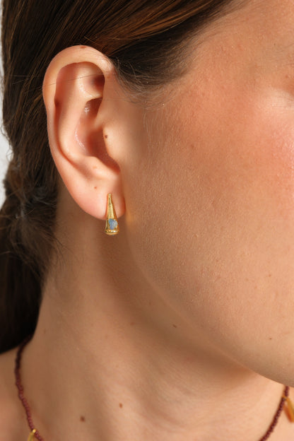 Topo gota murralla p