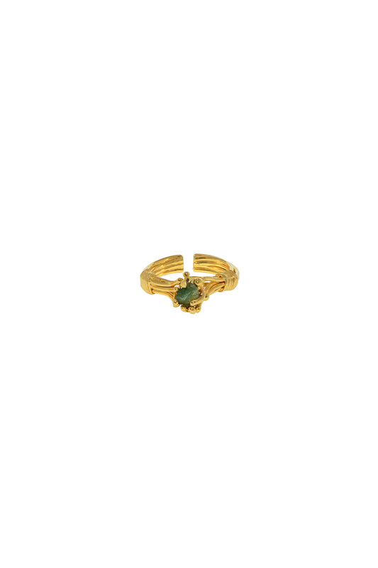 ANILLO ENREDO ARAÑA