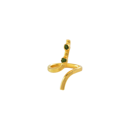 Anillo Pincelada Murralla